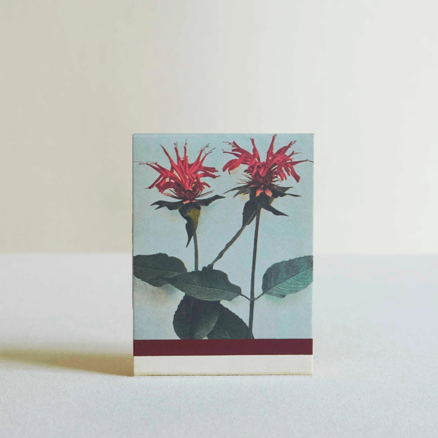 The Quiet Botanist In The Weeds Candle-The Quiet Botanist-Thistle Hill
