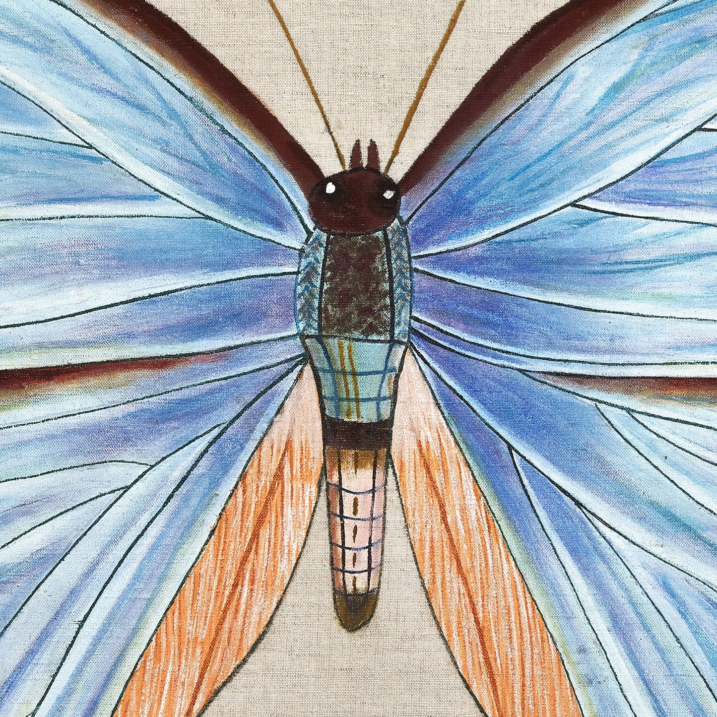 John Robshaw Lapis Butterfly Pillow