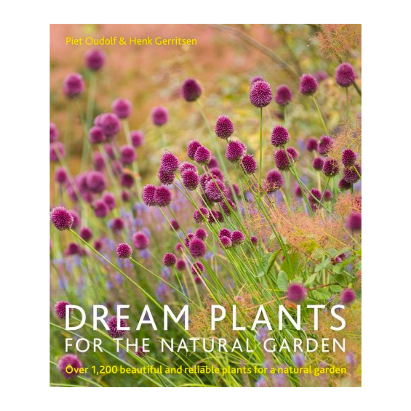 Dream Plants-Ingram-Thistle Hill