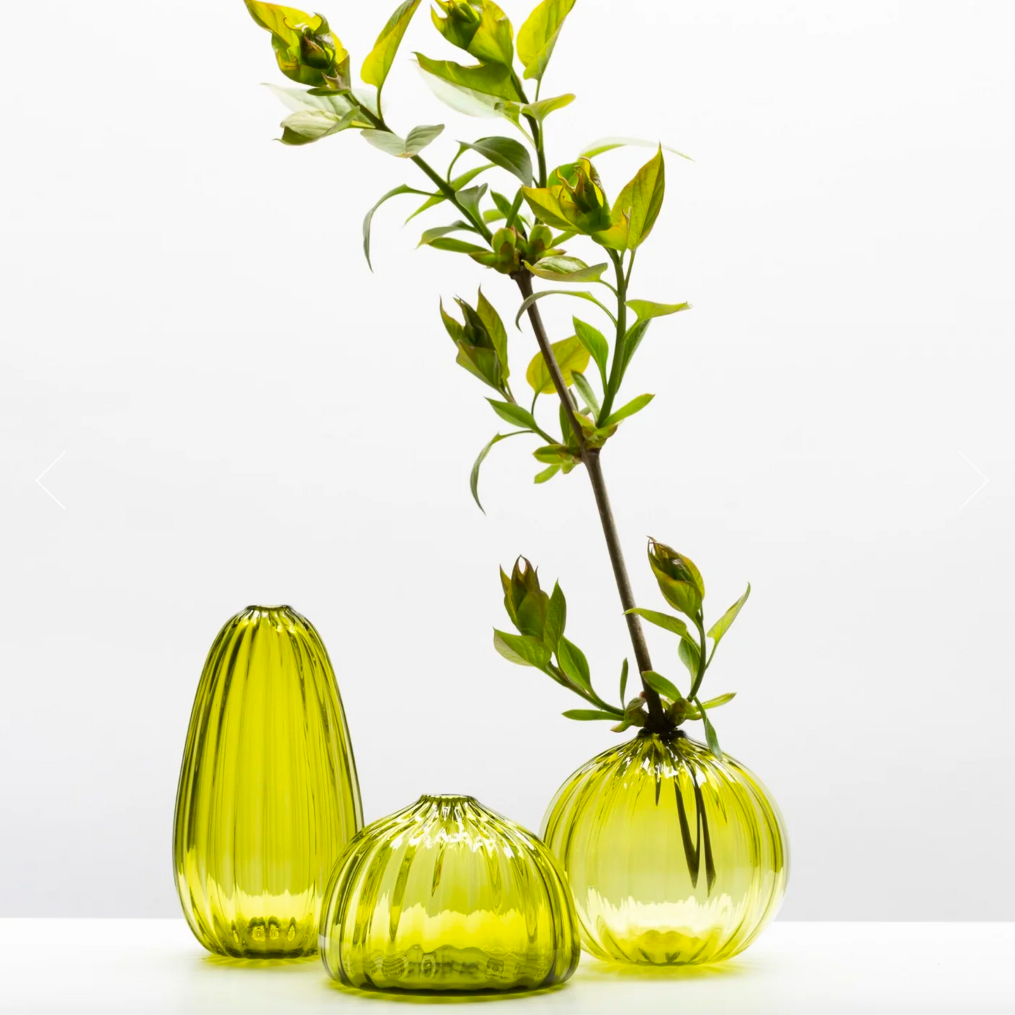 Little Tomato Glass Bud Vases Olive