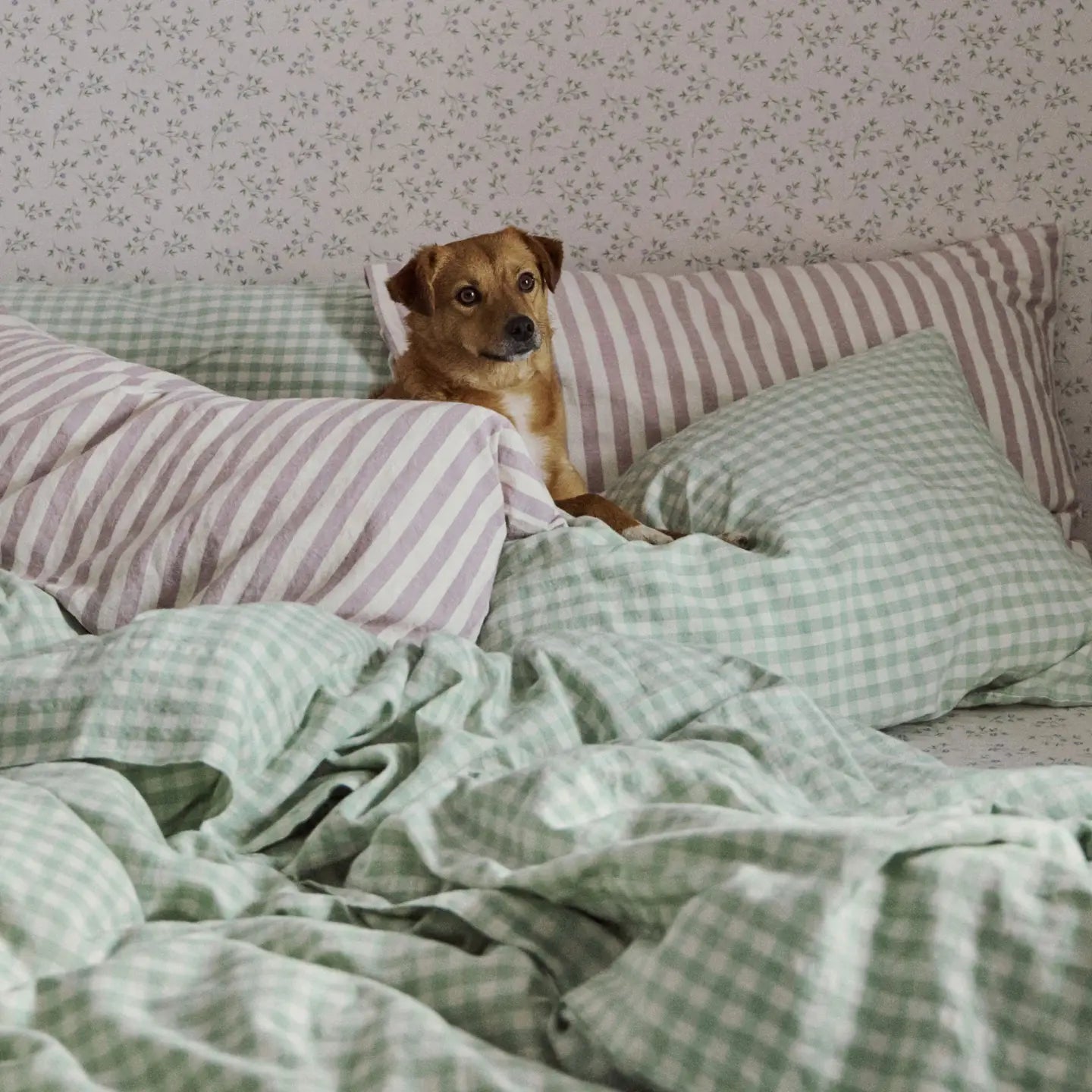 Honey Sage Green Linen Pillowcase (Pair)-Piglet in Bed-Thistle Hill