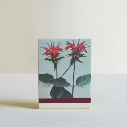 The Quiet Botanist In The Weeds Candle-The Quiet Botanist-Thistle Hill